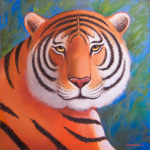 Eye of The Tiger 18 x 18