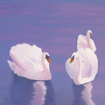Graceful Swans 16X20